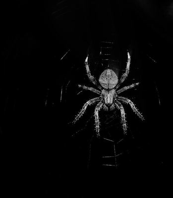 Vil du gerne få bugt med dine fobier? Søg hjælp hos hypnose i Vejle