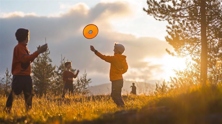 Opdag discnordic - din guide til disc udbyder og kurser